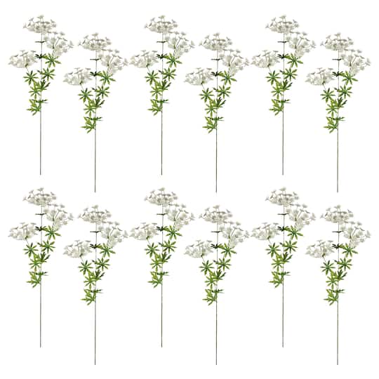 12 Pack: White Queen Anne's Lace Spray by Ashland®
